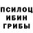 Галлюциногенные грибы Magic Shrooms Tim Ewa