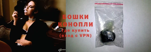 прущие грибы Михайлов
