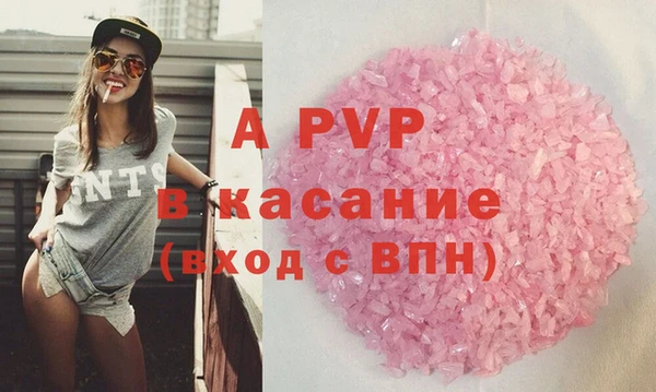 прущие грибы Михайлов