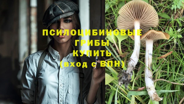 кокс Михайловск